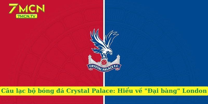 Câu lạc bộ bóng đá Crystal Palace: Hiểu về “Đại bàng” London