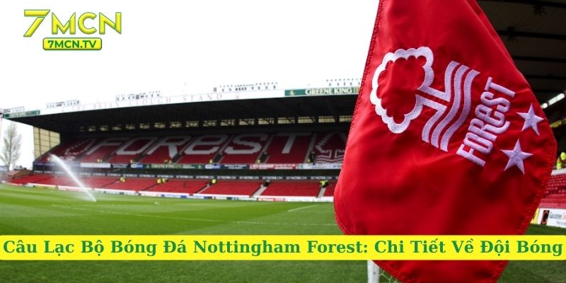 Câu Lạc Bộ Bóng Đá Nottingham Forest: Chi Tiết Về Đội Bóng