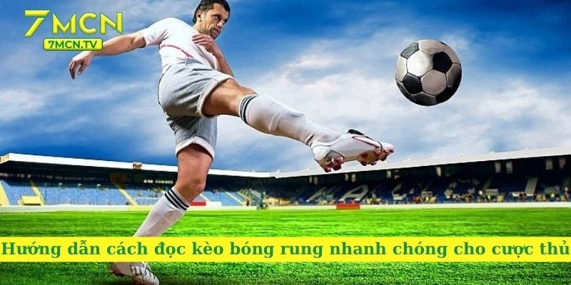 Hướng dẫn cách đọc kèo bóng rung nhanh chóng cho cược thủ