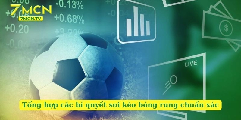 Tổng hợp các bí quyết soi kèo bóng rung chuẩn xác